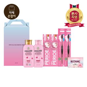 LG추석선물세트 스페셜 블루밍박스P호