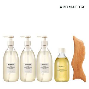 M) 아로마티카 바디워시 패키지 (바디워시 500ml *3+바디오일 100ml+나무 돌고래 괄사