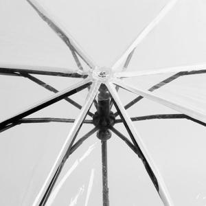 3단 투명 우산 단투명우산 접이우산 투명우산 초경