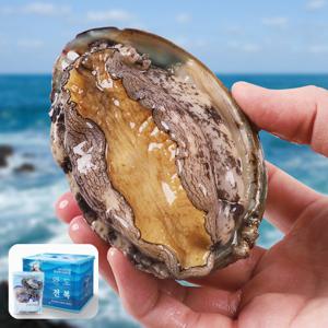 [선물세트] 특대 완도 활전복 1kg(12-13미) 산소포장(세척솔+칼 증정) / 부직포 박스 포장