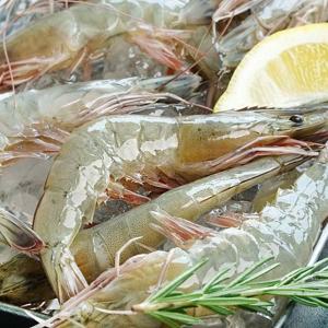국내산 생물 흰다리새우 1kg(29미 내외)