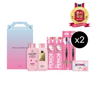LG추석선물세트 스페셜 블루밍박스P호x2개