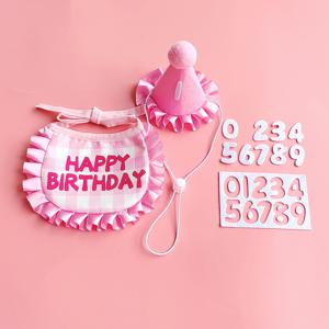 TEMU 3pcs/set 애완동물 생일 세트, 1pc 침 수건 + 1pc 생일 모자 + 0-9 접착 번호 스티커 포함, 만화 귀여운 스타일, 모든 고양이와 개에게 완벽한 옷