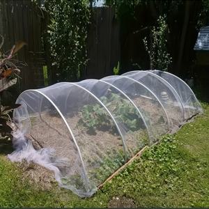 TEMU 2 사이즈 옵션, HDPE 곤충 네티 60 메시, 6x9 피트 투명 식물 보호 네티, 정원, 온실, 채소, 과일, 블루베리용 - 곤충 장벽, 전기 없음, 재사용 가능하고 고품질, 지구 날, 식물 보호자|기능적인 정원 커버|내구성 있는 메시 커버, 정원 네티