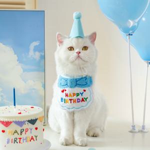 TEMU 2개 세트, 반려동물 생일파티용 