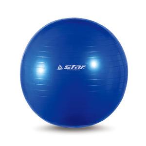 스타스포츠 짐볼 /55cm/EB240-07/신형