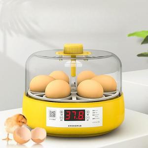 벨린 자동 병아리부화기 온도조절 인큐베이터 오리 오토매틱 알 달걀 6구