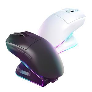 로이체 충전독 무선 게이밍 마우스 RDM-G510