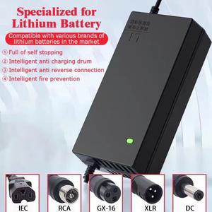 배터리 충전기 48V 2A 3A 5A 10A 이온 13S 차량 EV 드라이버 54.6V 고속