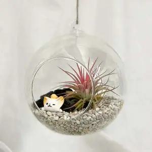 행잉유리볼 이오난사 여우 미니어처 키트 테라리움 인테리어화분 중형