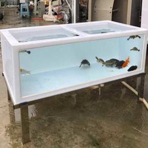 대형 수족관 거북이 오픈형 키우기 상자 플라스틱 흰색 물고기
