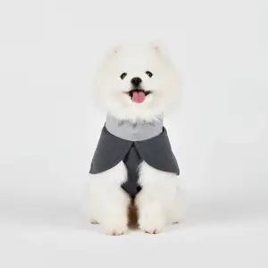 페슬러 강아지 발열 히트패딩 그레이