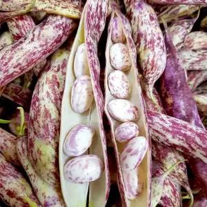 국내산 건조 혼합 강낭콩 호랑이콩 깐콩 껍질콩 500g 1kg