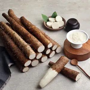 장마 상품 2kg 안동마 진주마 생마 참마 산마