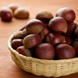 [국내산 부여산] 2025년 햇밤 (중) 5kg 달콤하고 고소함의 조화