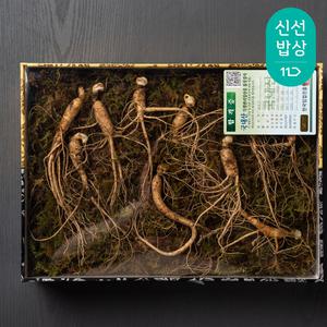 [대한민국농수산] 산에서 자란 토종 산양삼 선물세트