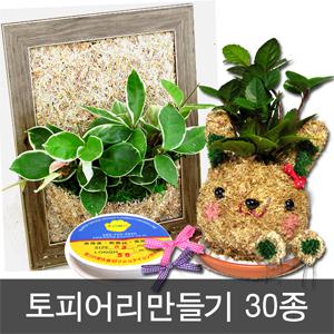 토피어리재료 원예체험 만들기재료 키트