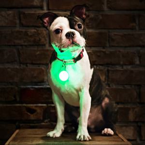 강아지 안전등 라이트 밤 야간 불빛 산책 목줄 LED 펜던트 오빌락
