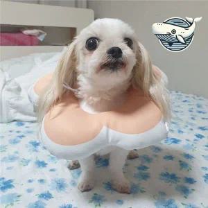 귀여운 강아지 고양이 쿠션 넥카라 핑크색 M