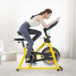 이고진 901S 실내 자전거 헬스 사이클