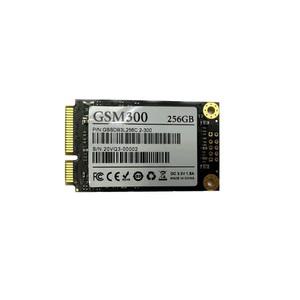 젬스톤 GSTON GSM300 mSATA (256GB)