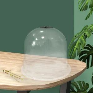 식물 모종 보호 온실 커버 대형 26x21cm (5개셋트) 덮개 뚜껑 카바