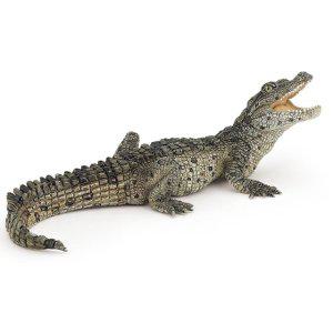 JMds 파포 동물학습 모형완구 아기 악어 (50137)
