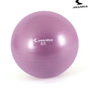 짐볼 보수 밸런스볼 운동 운동법 하프 필라테스 발란스볼 다-이어트 짐볼 65cm 라일락