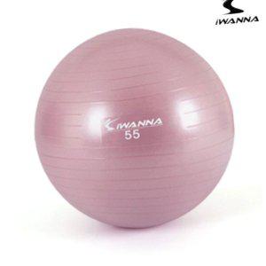 짐볼 보수 밸런스볼 운동법 하프 미니 필라테스 보수 다-이어트 짐볼 55cm 와일드핑크