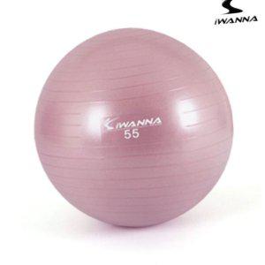 짐볼 보수 밸런스볼 하프 미니 필라테스 보수 다-이어트 짐볼 55cm 와일드핑크 z