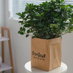 크래프트봉투 화분커버 페이퍼백수납 종이정리 각대봉