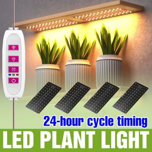 LED 식물재배등 풀스펙트럼 퀀텀 보드 램프 (실내 재배 박스, 꽃, 식물 재배용, 조광 및 타이머 자동 켜짐/꺼짐 기능 포함)
