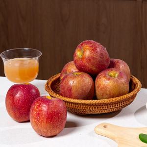 [더조은] 경북 감홍사과 실속형 5kg 23-28과