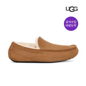 UGG 남성 애스콧 1101110-CHE