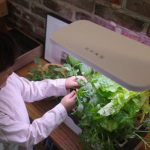 어썸네이처 식물재배기 가정용 수경재배기 식물키우기  봄봄이벤트 그로잉키트 1세트 증정