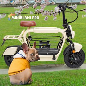 아이휠 미니비 애니PRO 듀얼전동스쿠터 (48V 500W 19.2Ah)