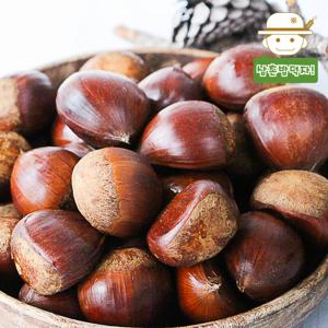 충주 유기농 알밤(대) 2kg