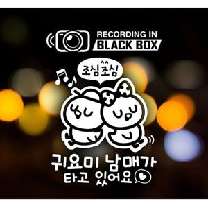 병아리 귀요미남매 블랙박스 자동차스티커-화이트