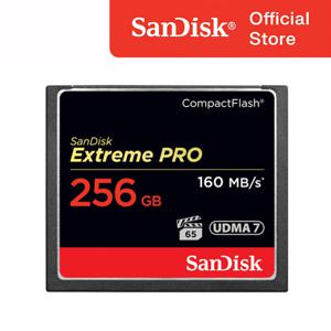샌디스크 Extreme PRO CF 256GB   전문가용 초고속 CompactFlash 메모리 카드