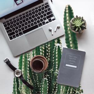 [샤이닝홈] 무드 접이식 액자테이블 720x480 선인장