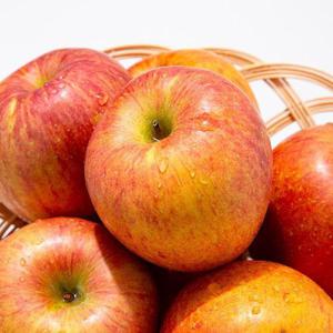 갤러리아_[더조은] 알뜰 꿀사과 부사사과 10kg 흠과 28-32과