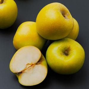 경북 시나노골드 가정용 사과 1kg (5-8과)