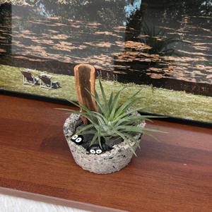 발포세라믹 화분 만들기 DIY