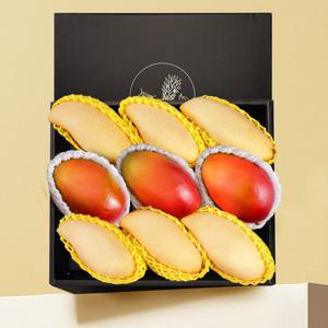 망고 혼합 9과 선물세트 3.2kg내외(골드 6과,애플 3과)