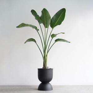 여인초 MB-2 무광 블랙 화분 분위기있는 거실화분 대형화분