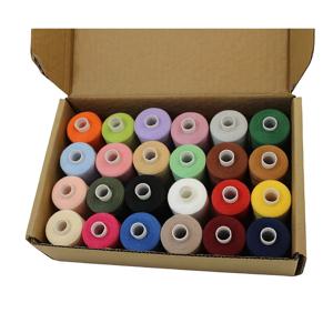 TEMU 24가지 색상의 자수 실로 구성된 완전한 세트, 각 롤에는 1000야드가 포함되어 있으며 자수, DIY 공예, 가정용 자수에 적합합니다.