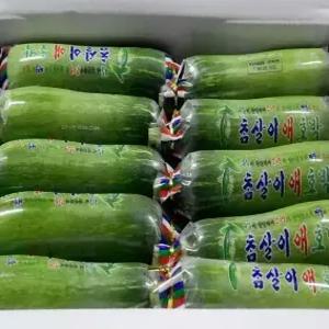 국내산 못난이 애호박 2kg