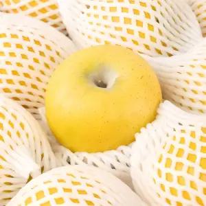 황금사과 시나노골드 3kg 아삭달콤 경북사과