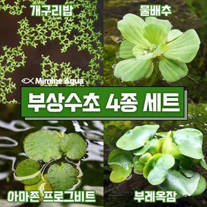 둥둥 수조 위 뜨는 부상 수초 키우기 4종 세트 (SET9)