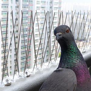 버드스파이크 비둘기퇴치 자석형 12set